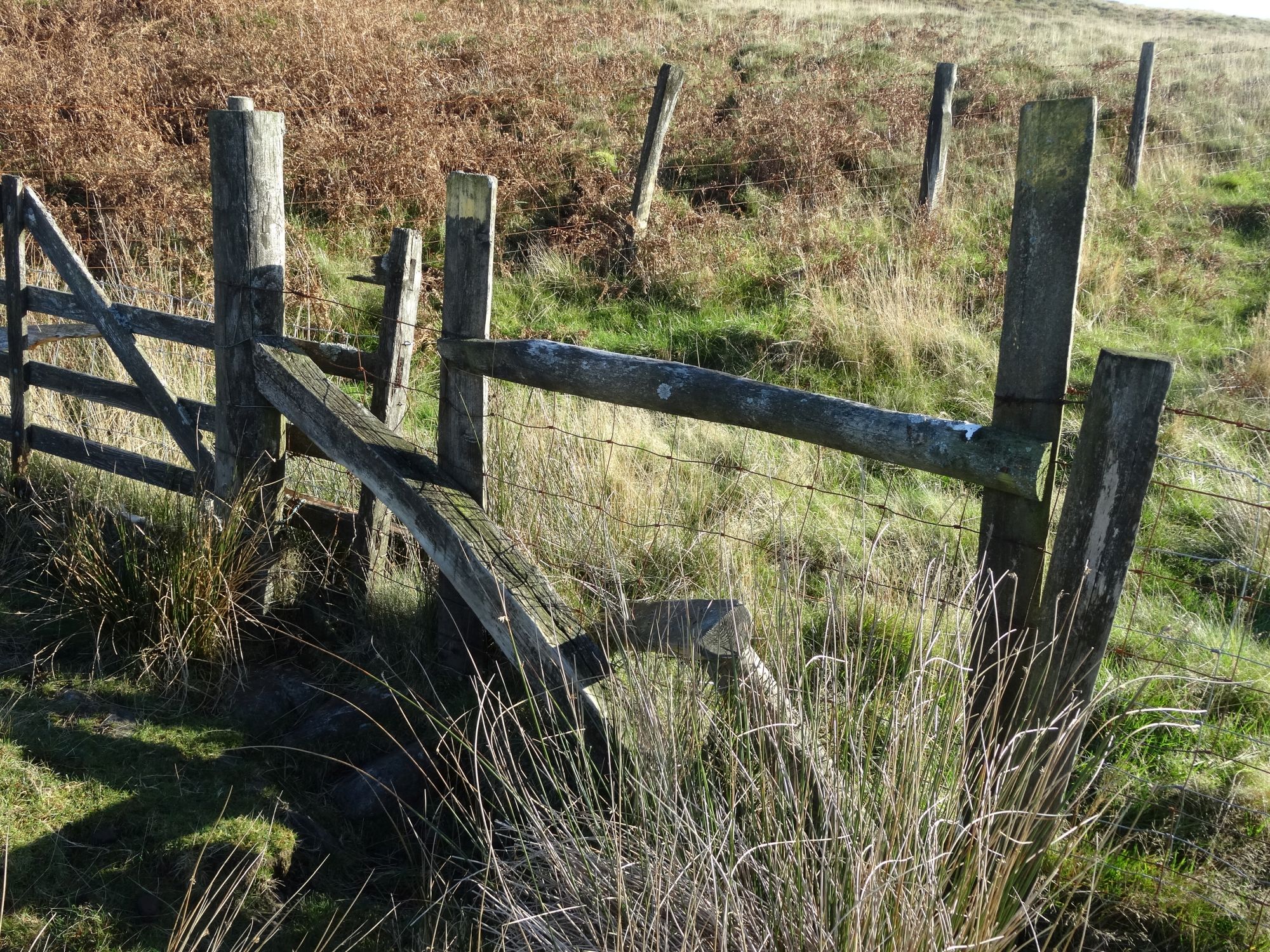 RachelSeabrook.net | Wild Walking | Moel y Llyn | pic28